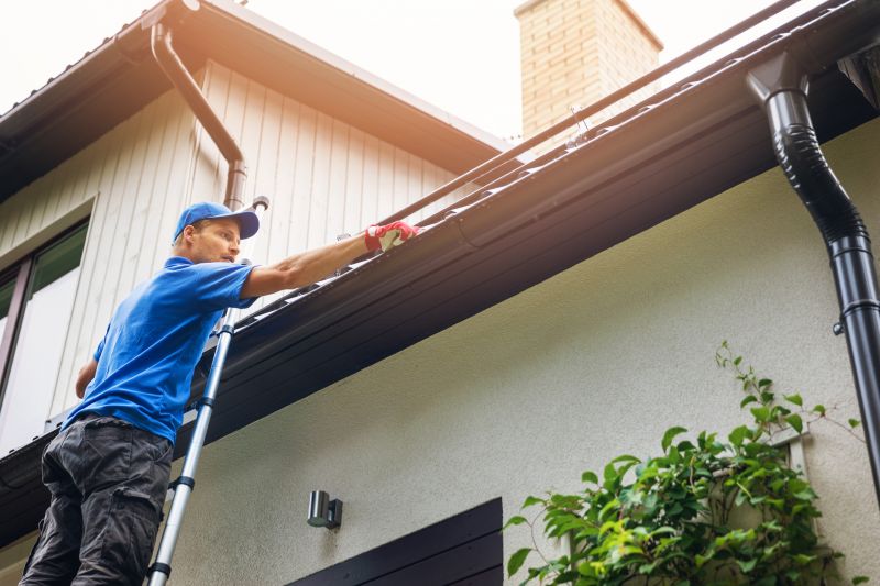 Maintaining Gutter Health
